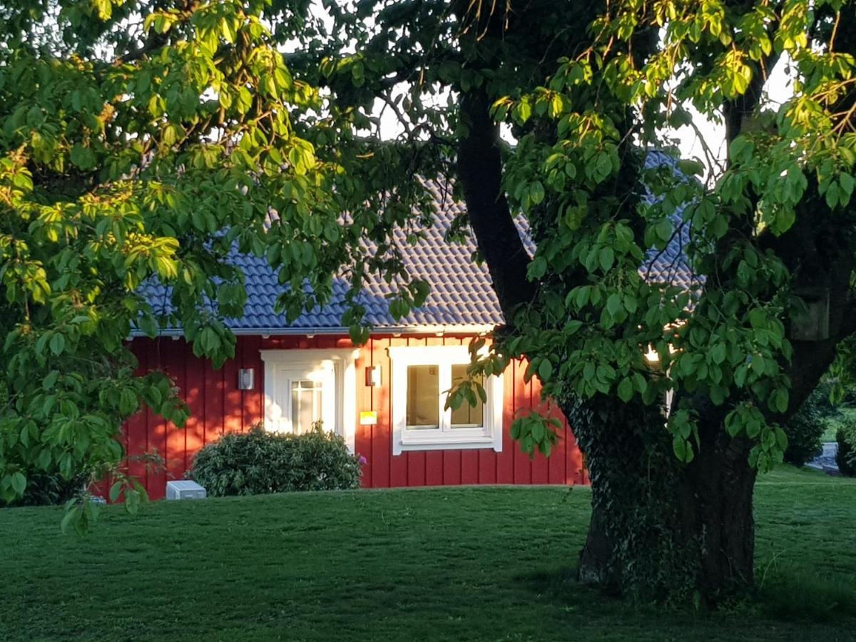 Ferienhaus Loeh Kleinmaischeid Εξωτερικό φωτογραφία